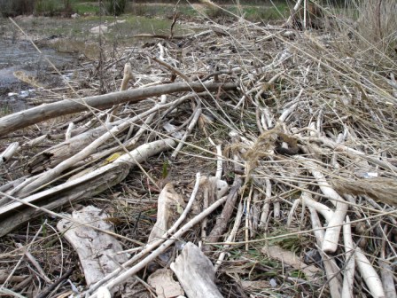 Maderas a la deriva...