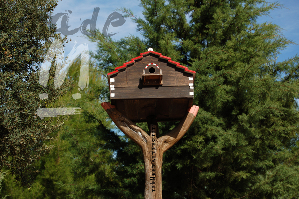 Drifwood, recycled wood, bois recyclé, madera vieja, madera flotante, madeMadera, Reciclaje, Wood Art,