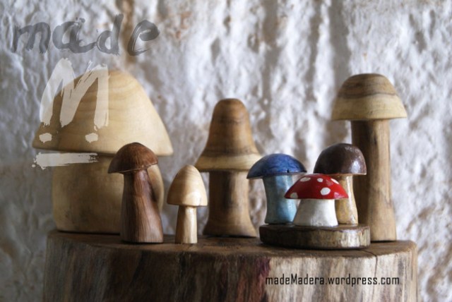 Drifwood, recycled wood, bois recyclé, madera vieja, madera flotante, madeMadera, Reciclaje, Wood Art,