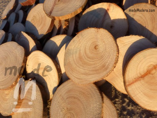 Drifwood, recycled wood, bois recyclé, madera vieja, madera flotante, madeMadera, Reciclaje, Wood Art,