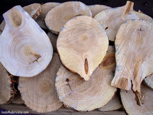 casa madera, pallets,wood recycled, rustic, recycle,hand made,wood house,wood slices,rodajas de madera, tree slices,rustic wedding tree slice