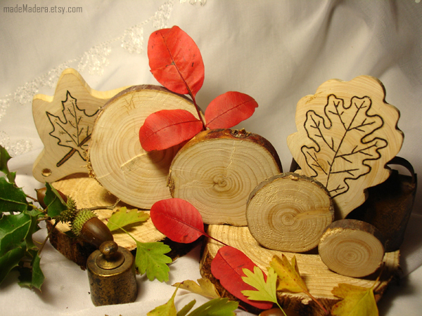 rodajas de madera,rustic wedding tree slice