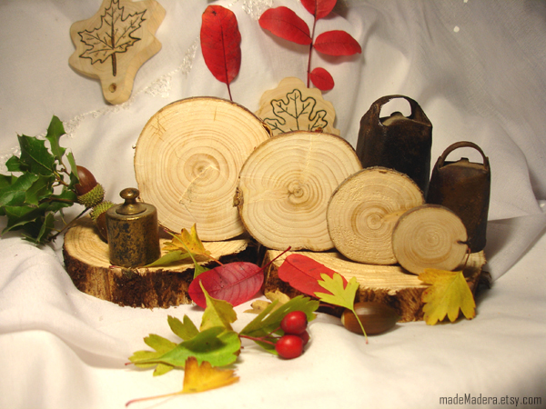rodajas de madera, tree slices, wood slices