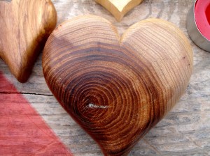 corazon de madera de olmo
